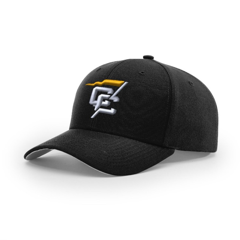 Conference Carolinas Logo Baseball Umpire Hats