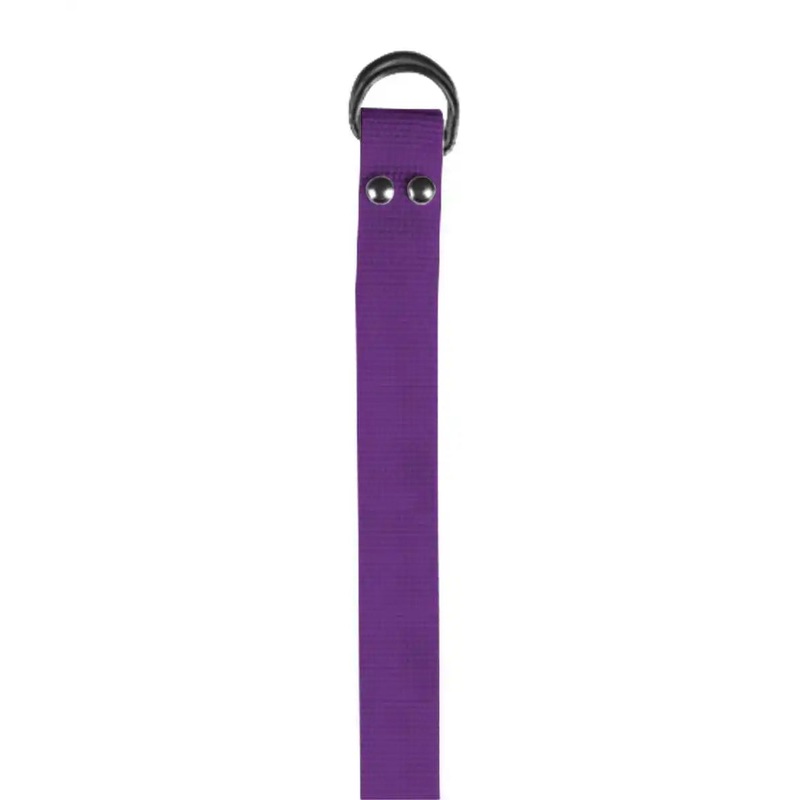Alleson Athletic 3FBLA Football Belt 1 Width – Purple