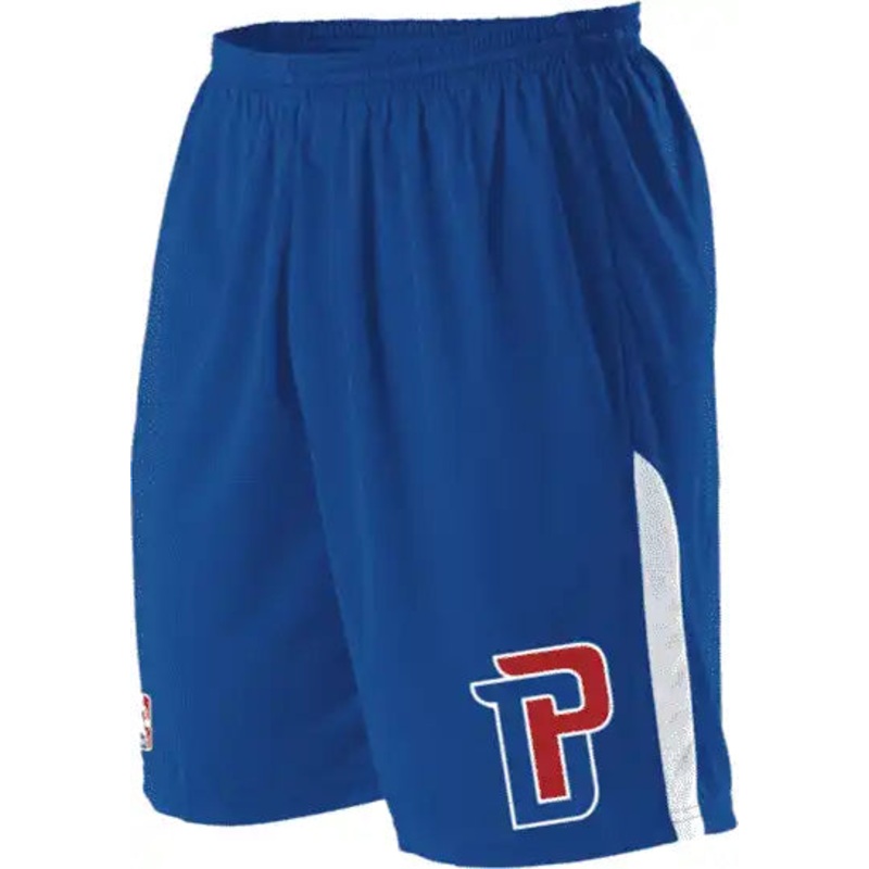 Alleson Athletic A205LY Youth NBA Logo Game Short – Detroit Pistons