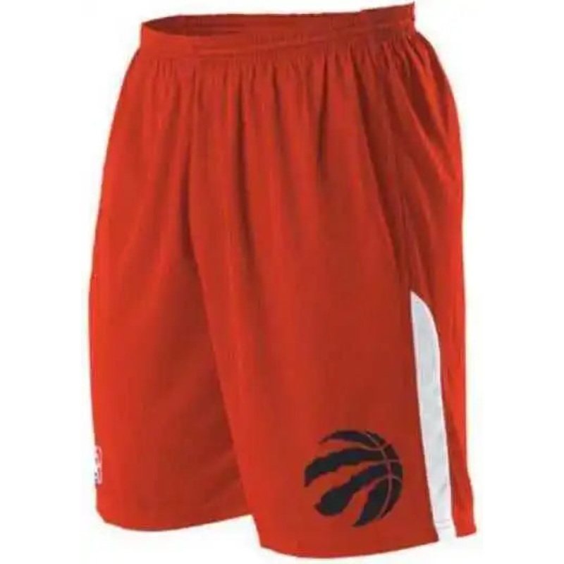 Alleson Athletic A205LY Youth NBA Logo Game Short – Toronto Raptors
