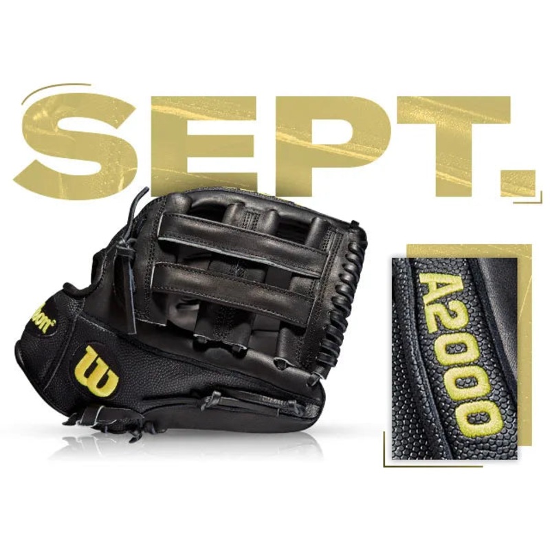 WILSON GOTM #76 CUSTOM A2000 DW5SS – SEPT 2019