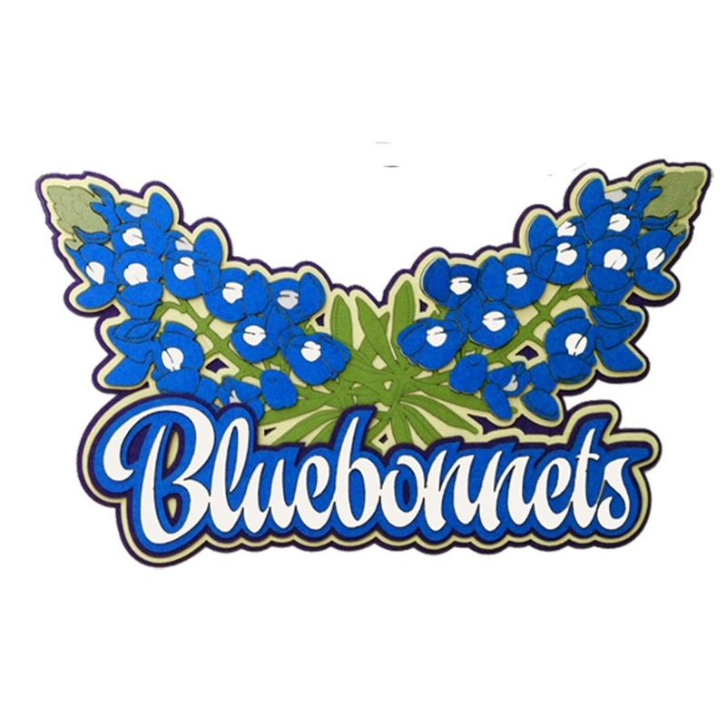 Texas Bluebonnets