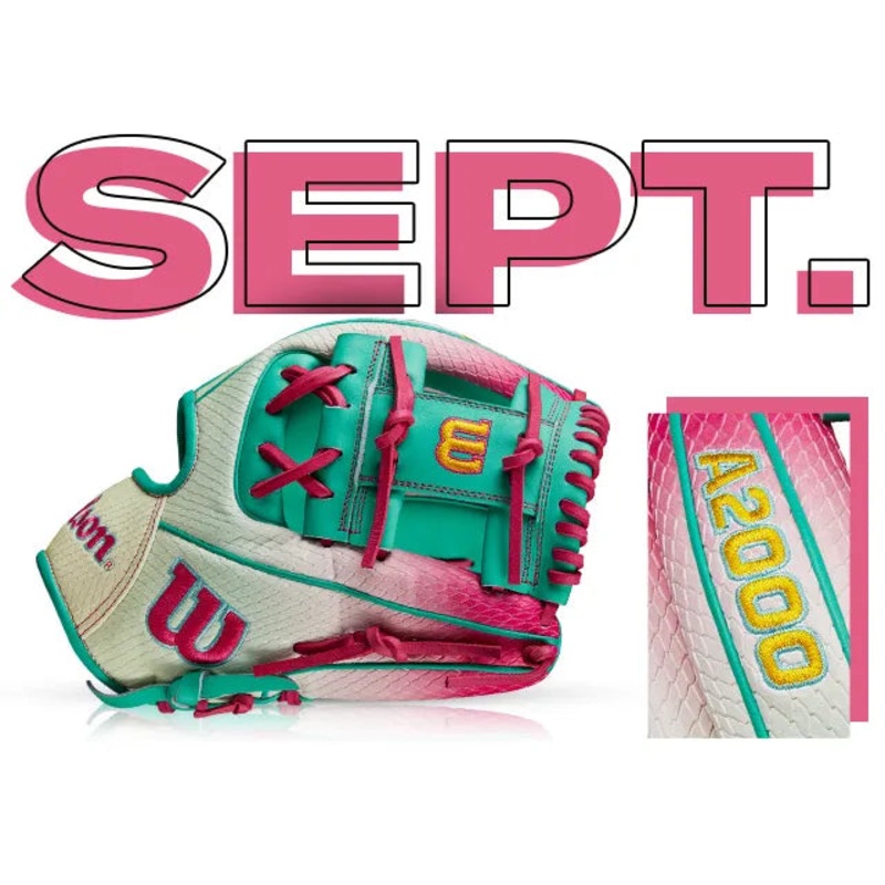 Wilson A2000 1975  11.75 GOTM SEPTEMBER 2024