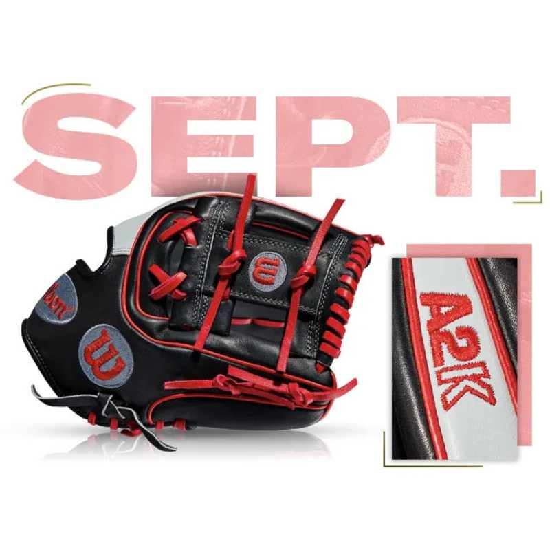 WILSON GOTM #28: FAN VOTE A2K DATDUDE – SEP 2015
