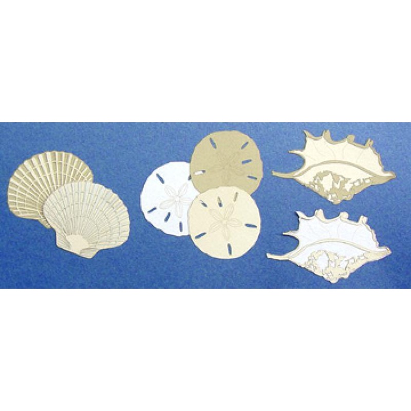 Shells – Naturals