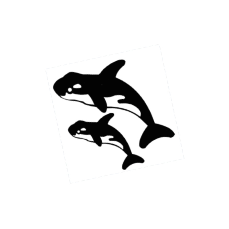 Killer Whales