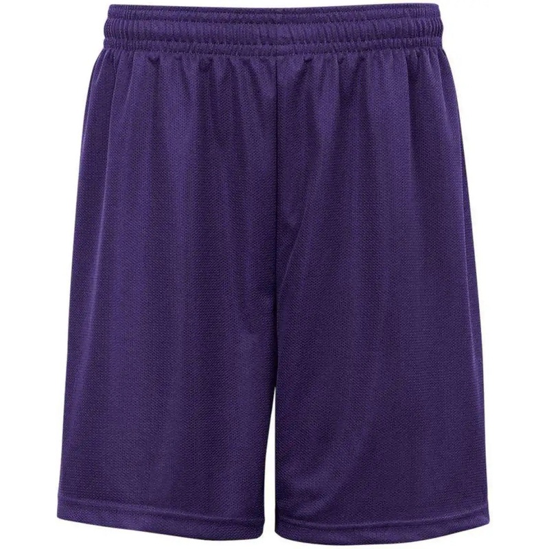 Badger Sport 7237 7 Mini Mesh Short – Purple