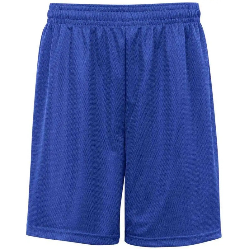 Badger Sport 7237 7 Mini Mesh Short – Royal