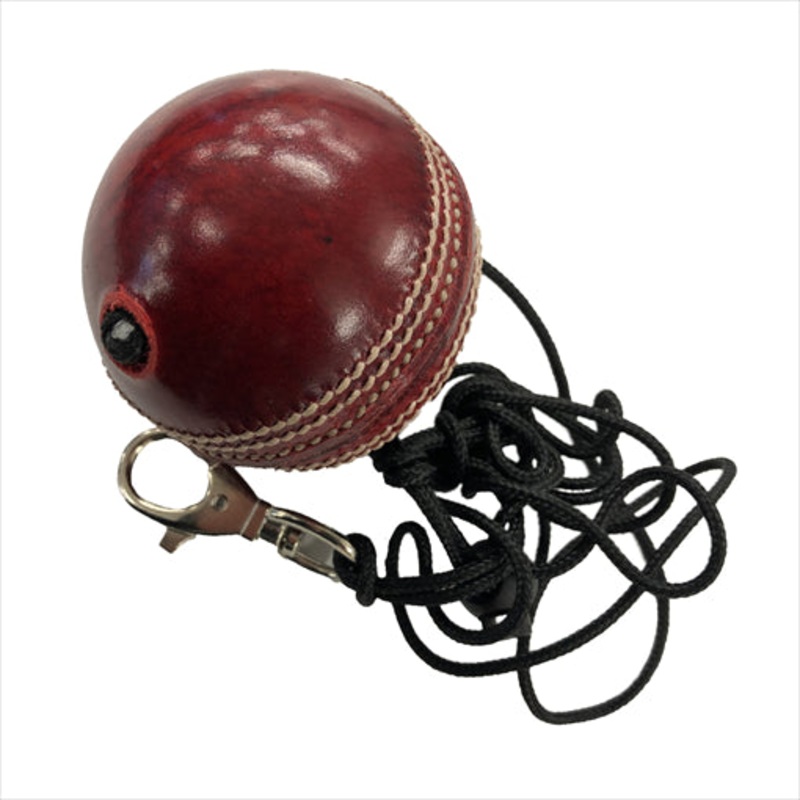 Batting Net Cricket Ball 142g