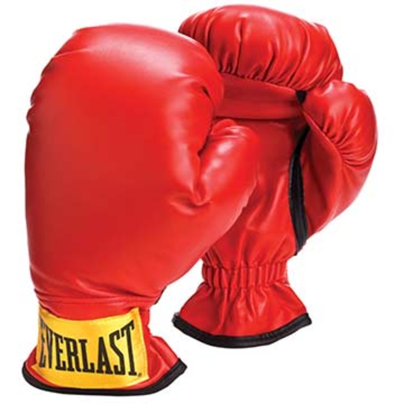 Everlast Youth Boxing Gloves – Age 12