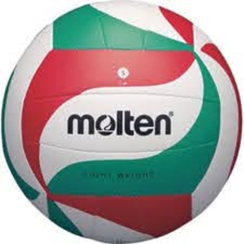 Molten PU Leather Lightweight Volleyball