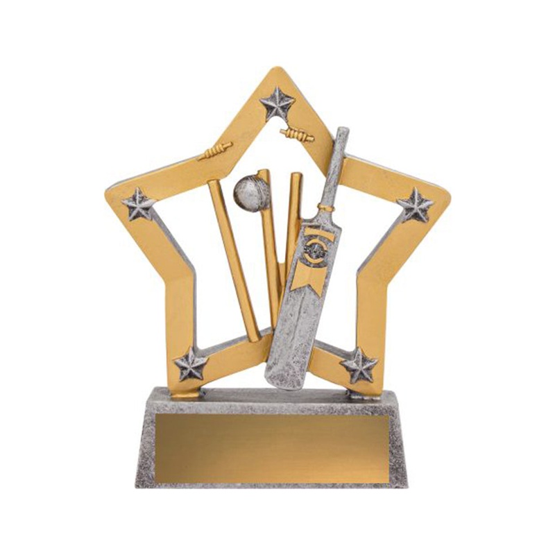 C210 – FREE TITLE PLAQUE|130MM $15.50|NONE|TITLE PLAQUE FREE|NONE|ADD MY LOGO $1.50