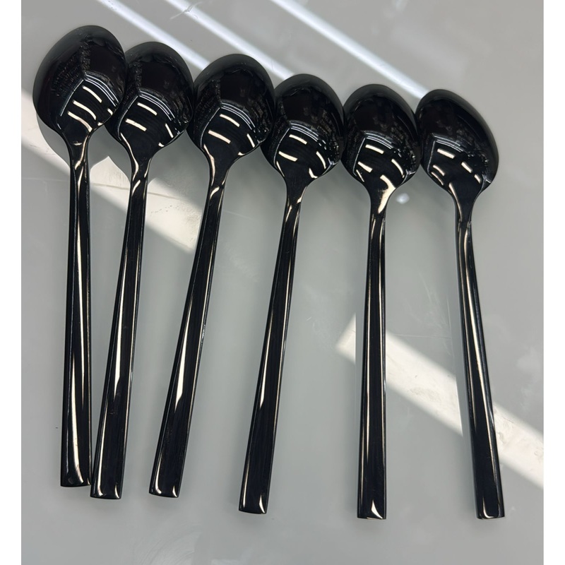 Extremely high-quality Chrome black 6pcs spoon set