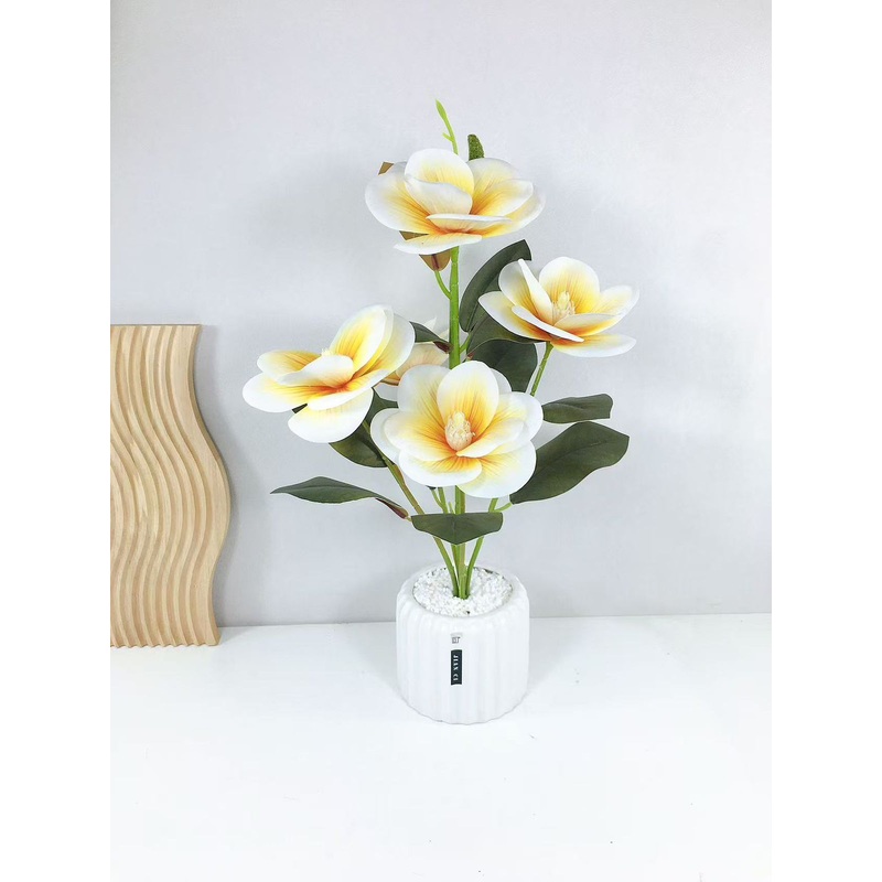 Cute decor pieces for house