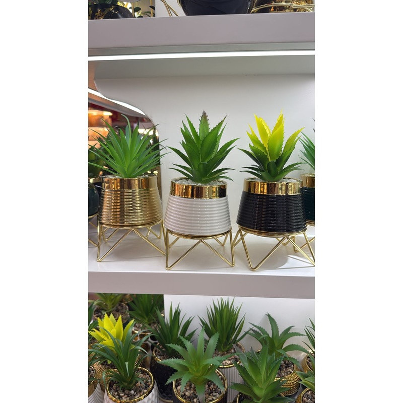Modern Succulent Decor  1-Piece Set with Gold Stand & Vase