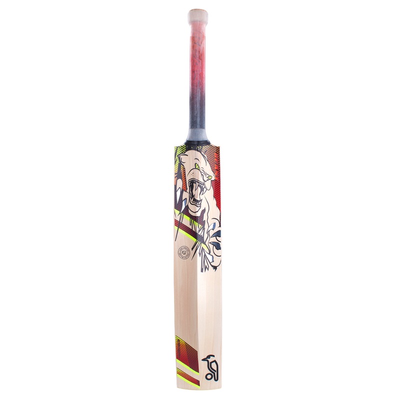 Kookaburra Cricket Bat Beast 6.2 (Eng.Willow)-Full Size
