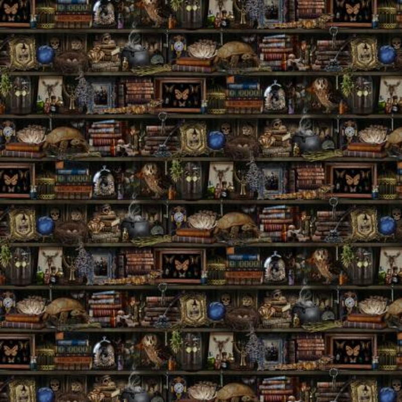 Brown witch apothecary bookshelf