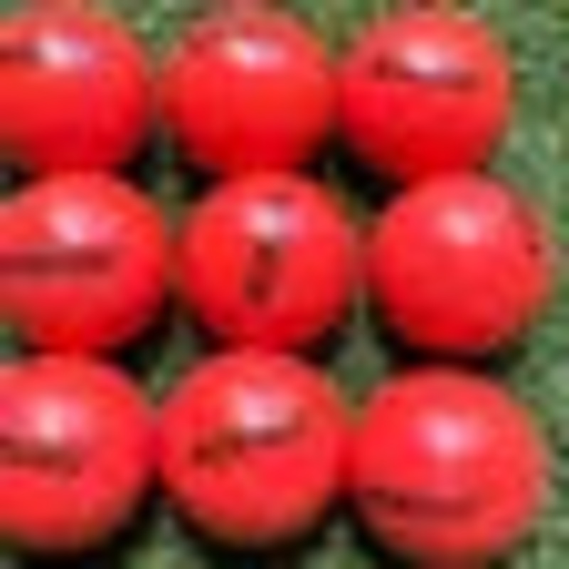 Rukket 3 16oz Weighted Heavy Training Balls – Set of 9