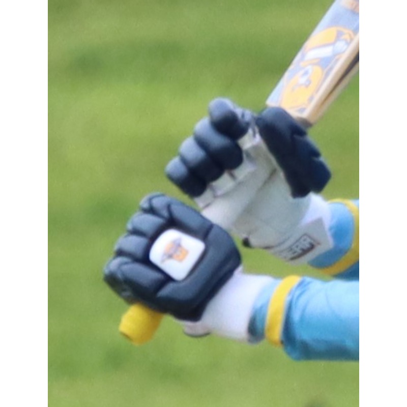 2024 Coloured Pro Batting Gloves