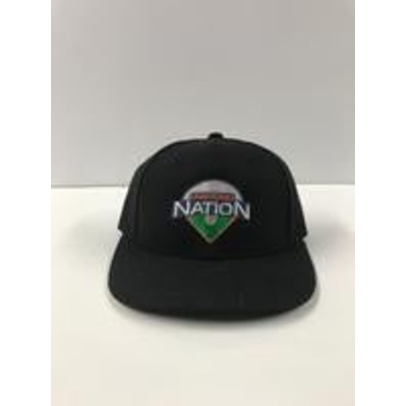 Diamond Nation Umpire Hat-Flex Fit