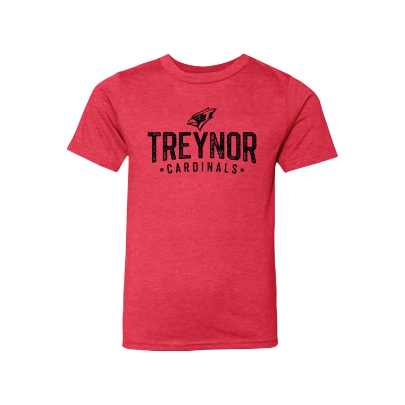 Treynor Wrestling Next Level Youth CVC T-Shirt