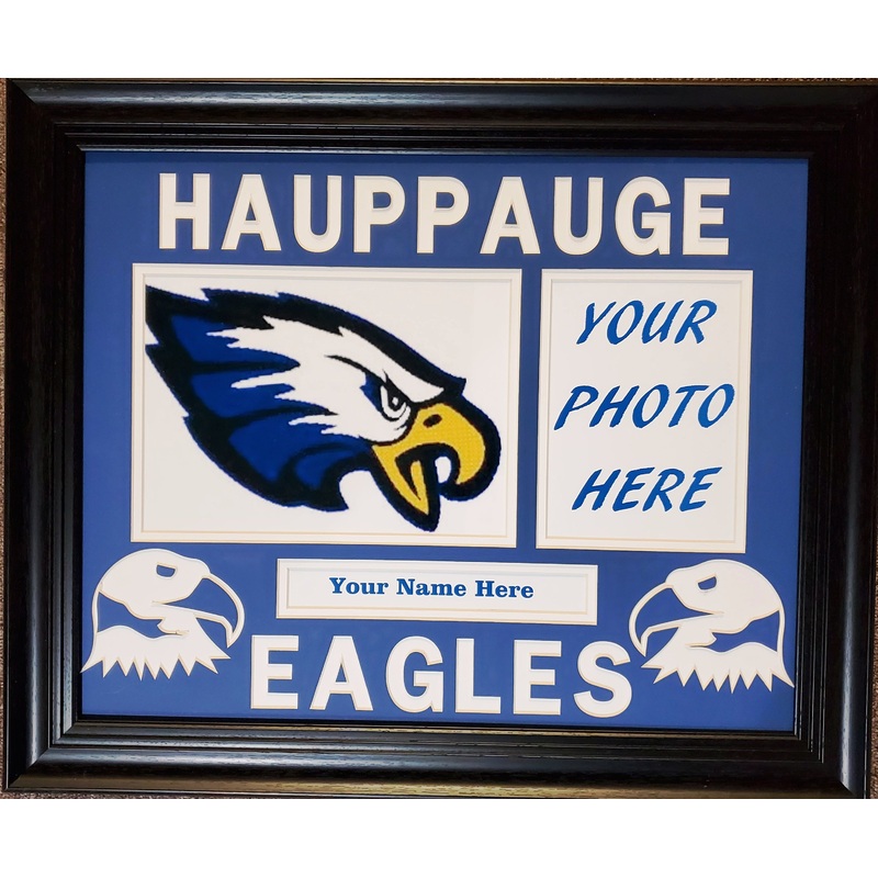 Hauppauge Eagles Double Panel