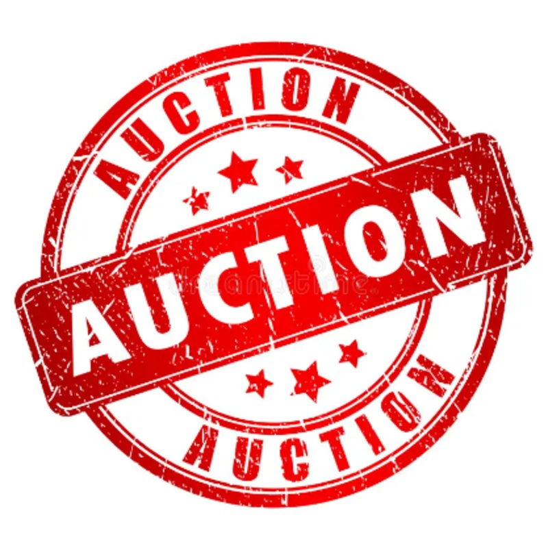 AUCTION SPONSOR