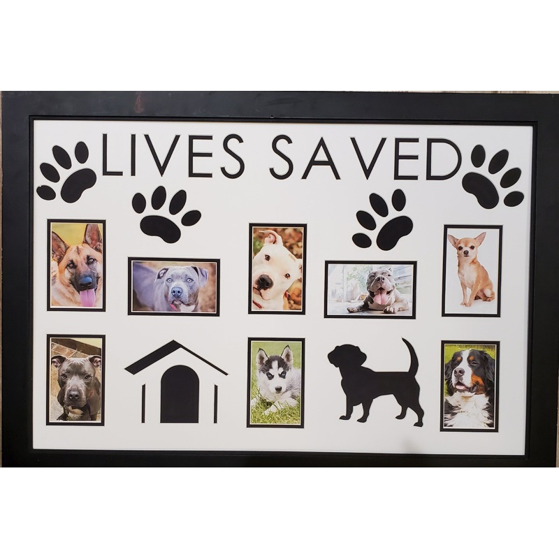 Lives Saved