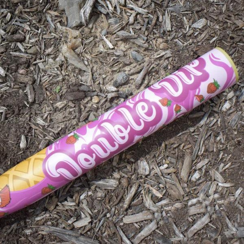 2024 Anarchy Double Dip Strawberry USA/ASA Slowpitch Softball Bat ASPDDSBA
