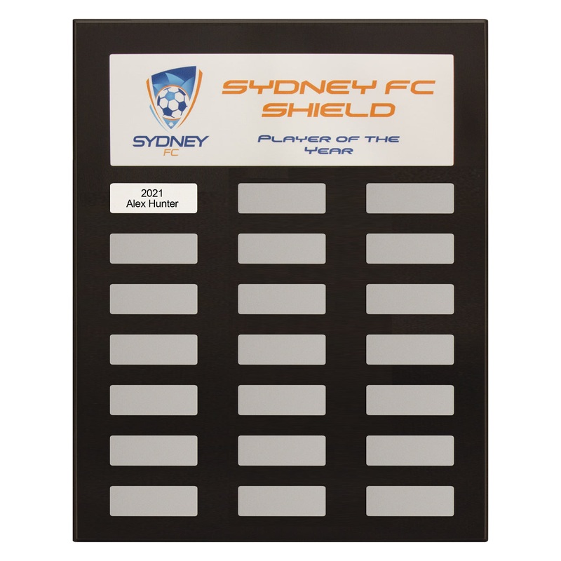 Colour Headline Plaque|380mm