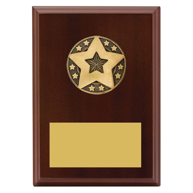 Star Award Plaque|175mm
