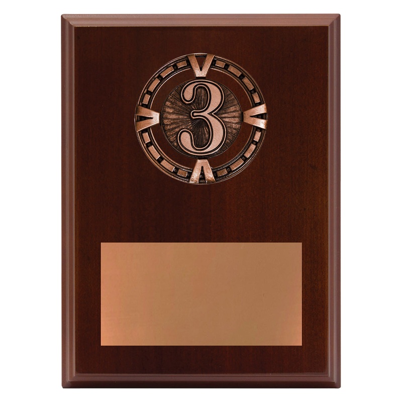 Varsity Plaque – 3rd|200mm