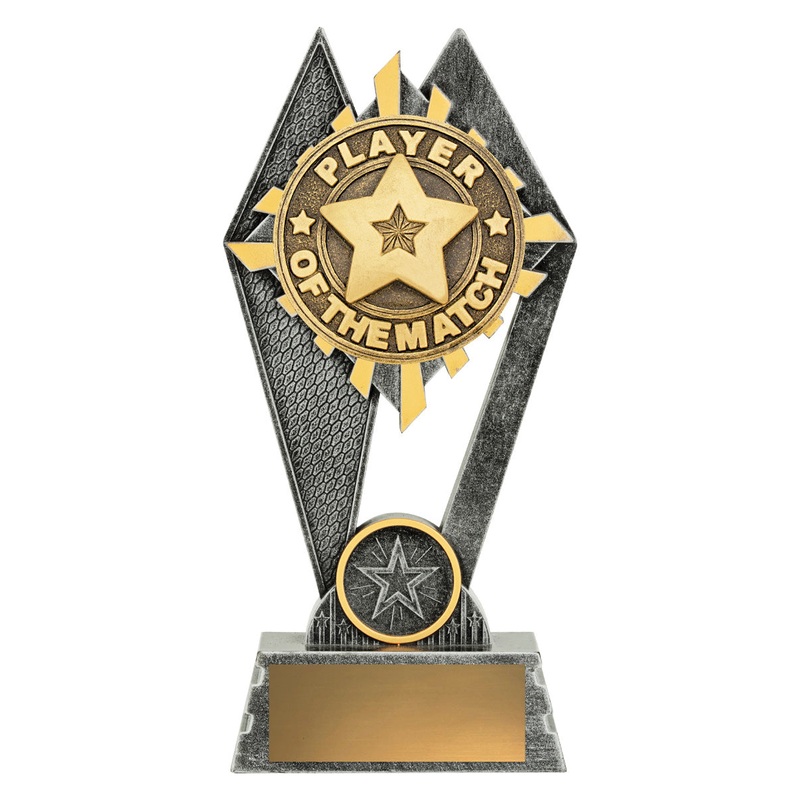 Peak – Player of the Match|180mm