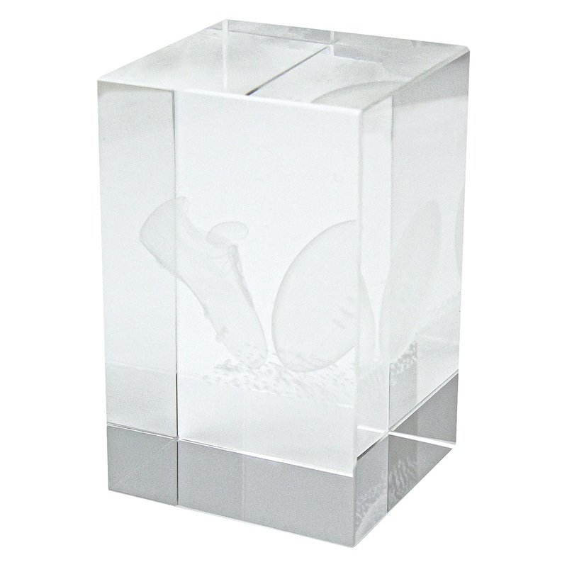 Crystal Block Award|80mm