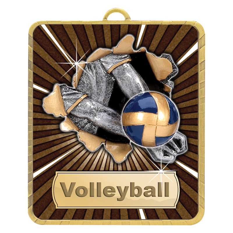 Gold Lynx Medal – Volleyball|Gold